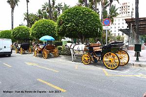 259- Malaga paseo de Espana